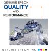 imageEPSON 410 Claria Premium Ink Standard Capacity Photo Black Cartridge T410120S Works with Expression Premium XP530 XP630 XP640 XP7100 XP830
