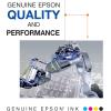imageEPSON 786 DURABrite Ultra Ink Standard Capacity Cyan Cartridge T786220 Works with WorkForce WF5110 WF5190 WF5620 WF5690