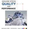imageEPSON 802 DURABrite Ultra Ink Standard Capacity Black Dual Cartridge Pack T802120D2 Works with WorkForce Pro WF4720 WF4730 WF4734 WF4740
