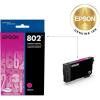 imageEPSON 802 DURABrite Ultra Ink Standard Capacity Magenta Cartridge T802320S Works with WorkForce Pro WF4720 WF4730 WF4734 WF4740