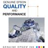 imageEpson 786 DURABrite Ultra Ink Standard Capacity Yellow Cartridge T786420 Works with Workforce WF5110 WF5190 WF5620 WF5690
