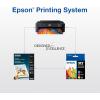 imageEPSON 312 Claria Photo HD Ink High Capacity Light Cyan Cartridge T312XL520S Works with Expression Photo XP8500 XP8600 XP8700 XP150001 Count Pack of 1